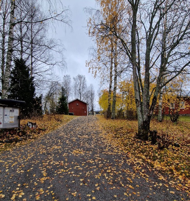 5c75930c-d6e1-447b-9a67-6d7e97c84ace